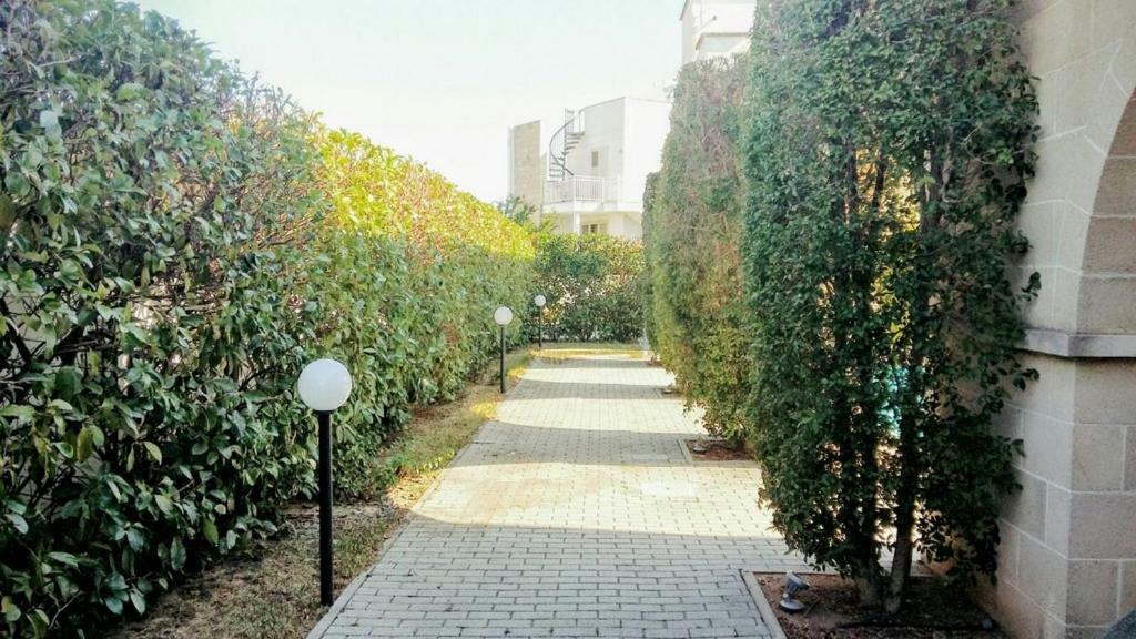 Casa Vacanza Sun & Relax Санта Мария ал Баньо Екстериор снимка